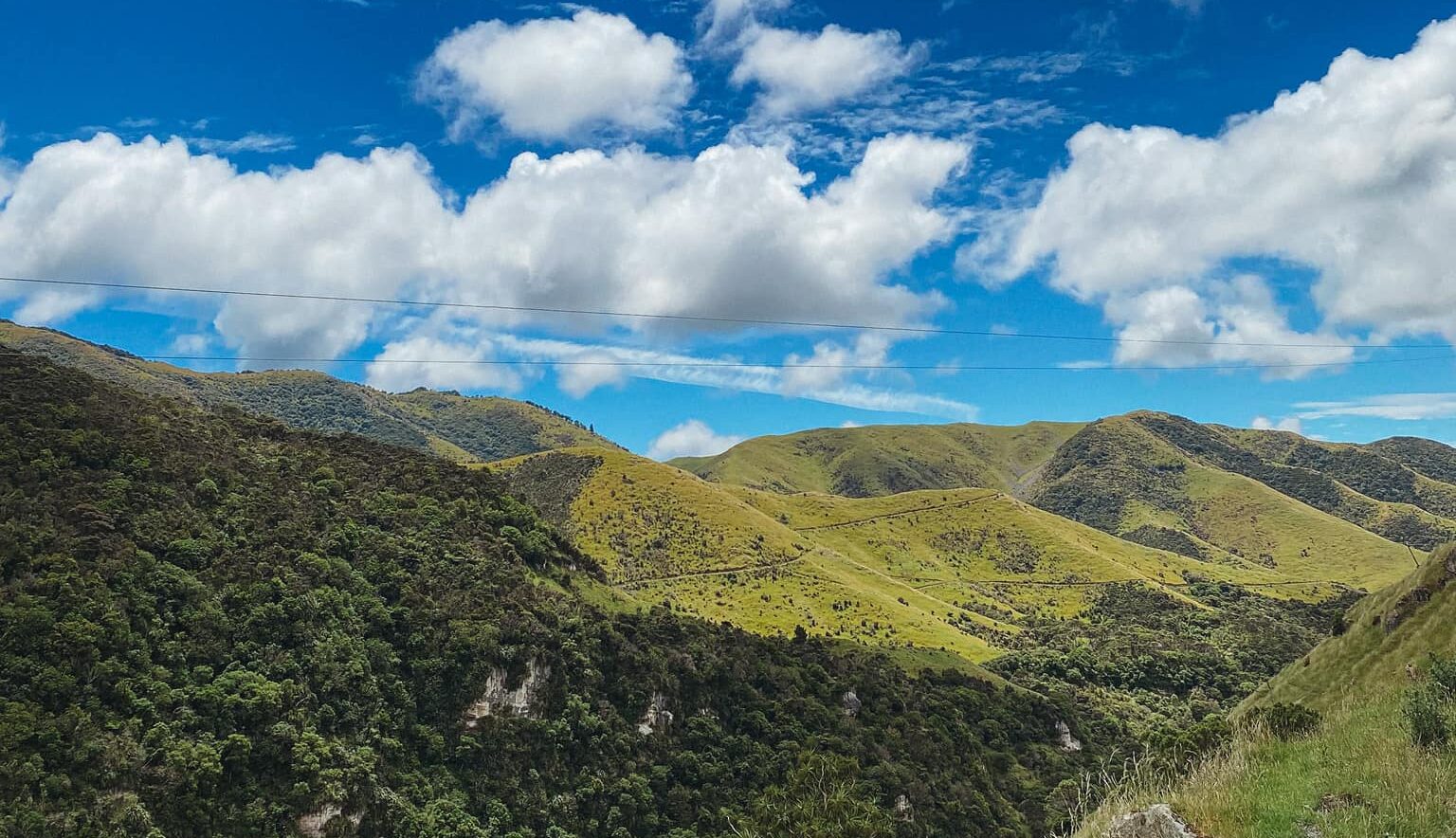 A New Year Adventure